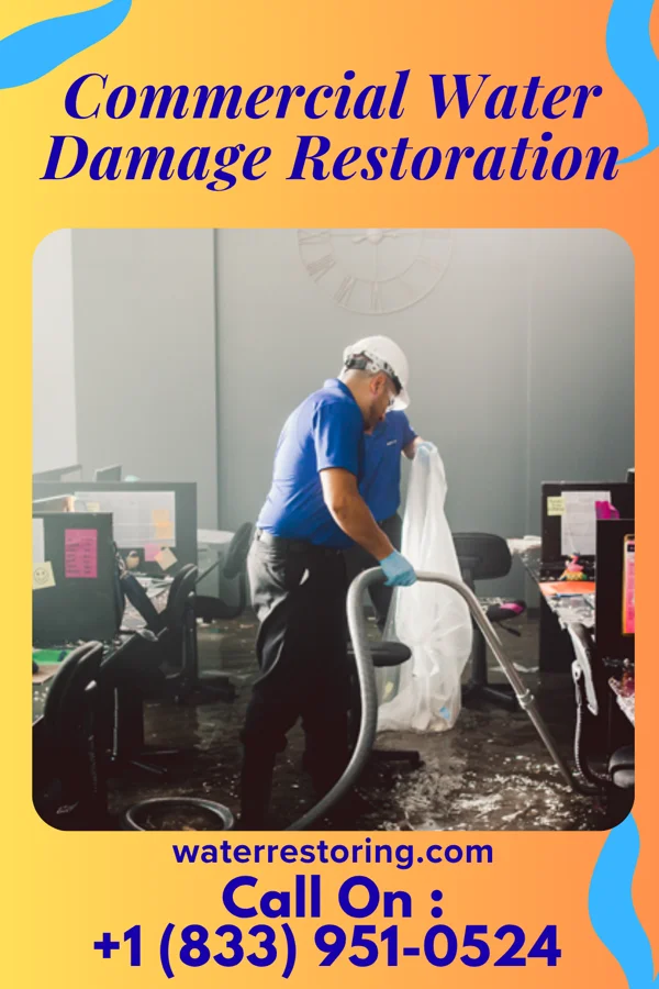 Commercial Water Damage Restoration in Golden Gate, IL