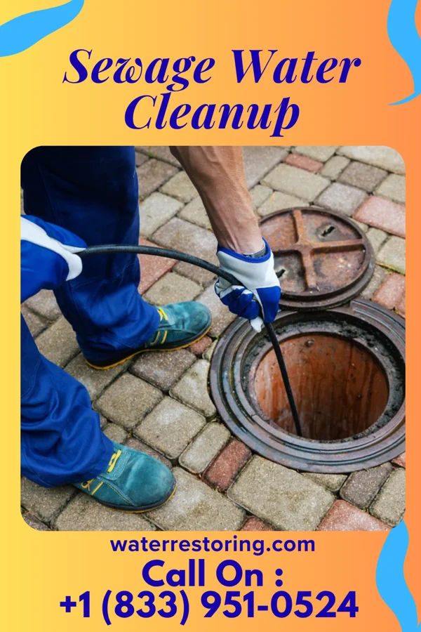 Sewage Water Cleanup in Golden Gate, IL