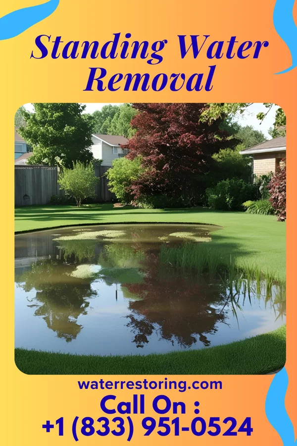 Standing Water Removal in Golden Gate, IL